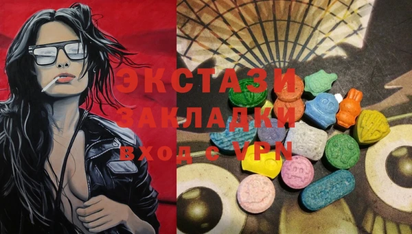 ECSTASY Козловка