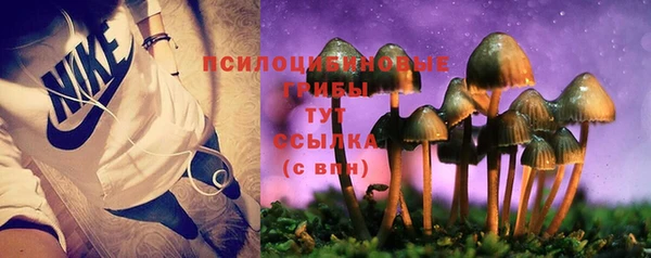 COCAINE Богородицк