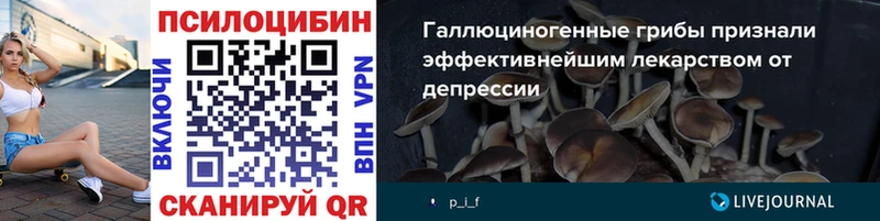 Псилоцибиновые грибы Psilocybine cubensis  мориарти наркотические препараты  Нурлат 