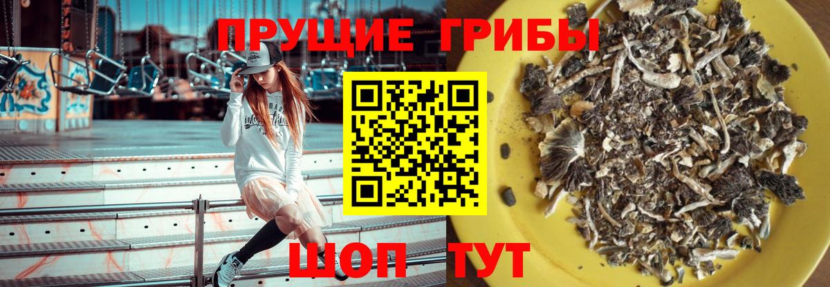 Нурлат  Псилоцибиновые грибы ЛСД  Галлюциногенные грибы Cubensis  Вход с VPN 