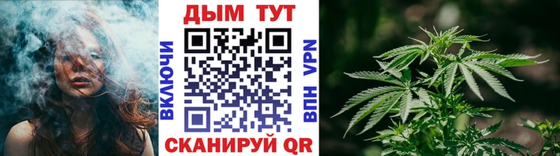 Канабис ГИДРОПОН  Нурлат 