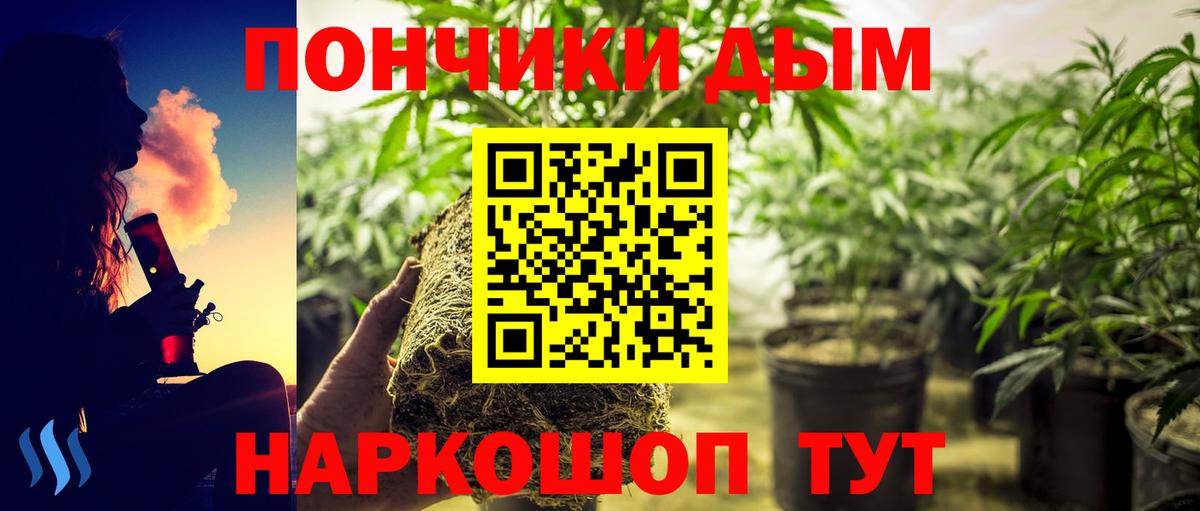 Нурлат  Конопля Ganja  Бошки Шишки индика  Вход с VPN 